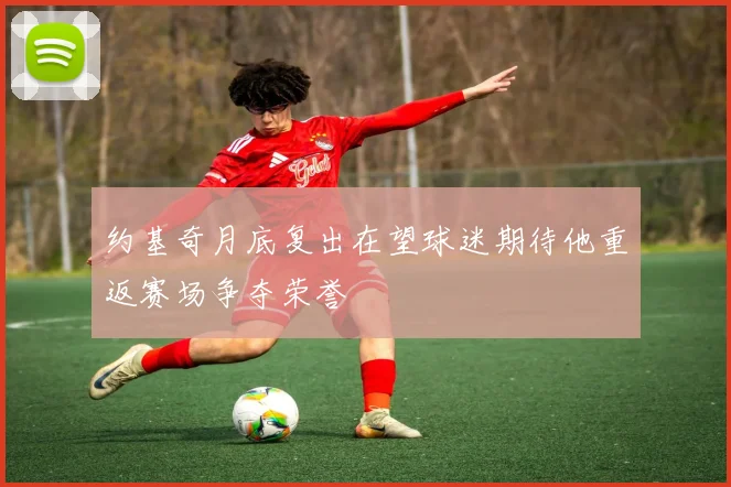 约基奇月底复出在望球迷期待他重返赛场争夺荣誉
