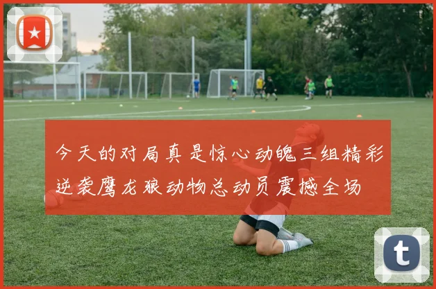 今天的对局真是惊心动魄三组精彩逆袭鹰龙狼动物总动员震撼全场