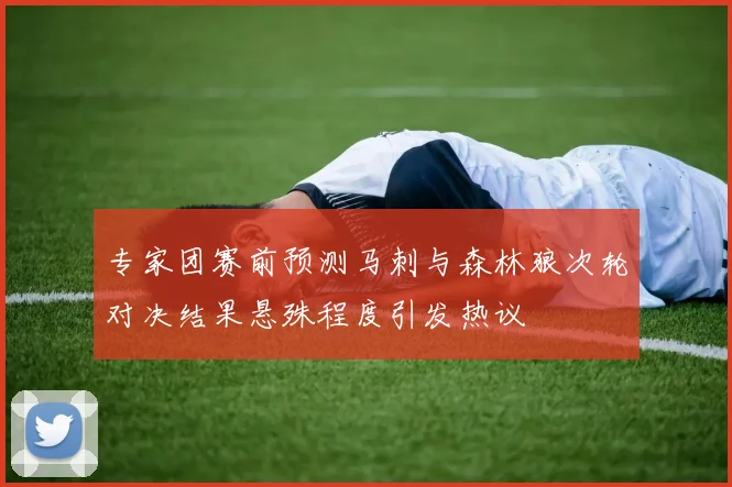专家团赛前预测马刺与森林狼次轮对决结果悬殊程度引发热议